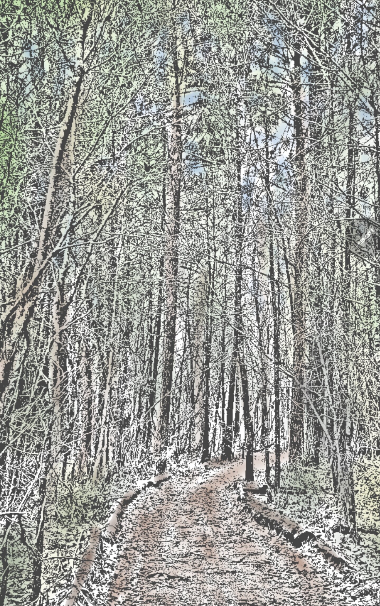 What Backpacking Taught Me About Marketing